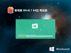 ëwin8.1 64λȫ°ȫv2024.05