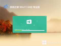 ϵͳ֮win11 64λ ⼤޹v2024.05